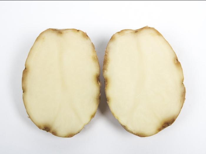  Pomme de terre - Virus Y de la pomme de terre (PVY)