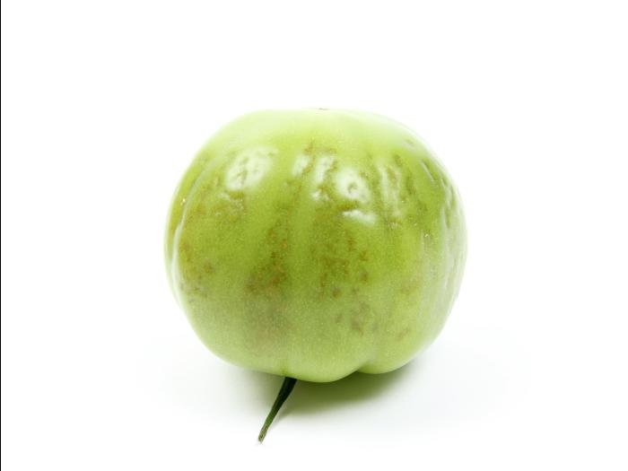 Tomate - Virus de la mosaïque du pépino (PepMV)