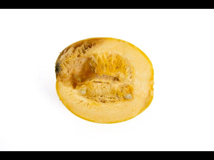 courge_stag_cucu_56498d_ad_iriis