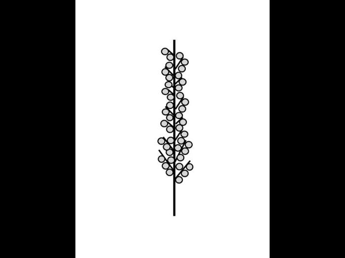 Identification_InflFaux-Epi
