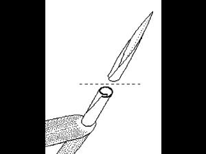 Identification_FeuilleEnroulee