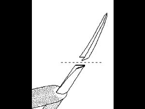 Identification_FeuillePliee