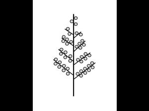 Identification_InflPanicule