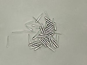 Coleophoma_empetri-06_LQ